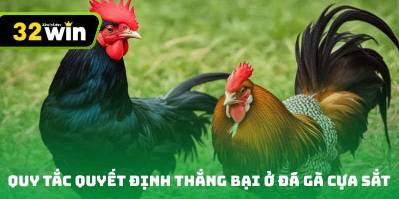 Quy tắc quyết định thắng bại ở đá gà cựa sắt