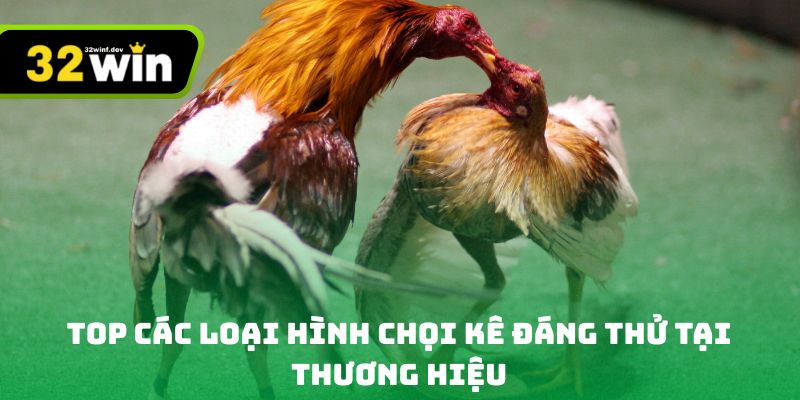 Top các loại hình chọi kê đáng thử tại thương hiệu